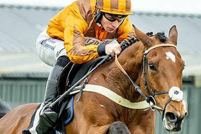 Sussex Raceday - Sunday 6th April 2025