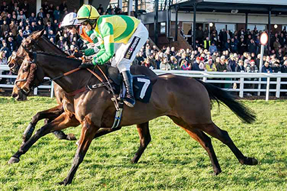 Sussex National Raceday - 4th January 2026