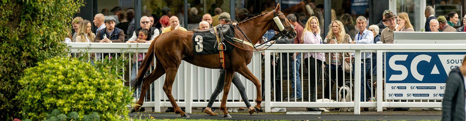 Plumpton Racecourse