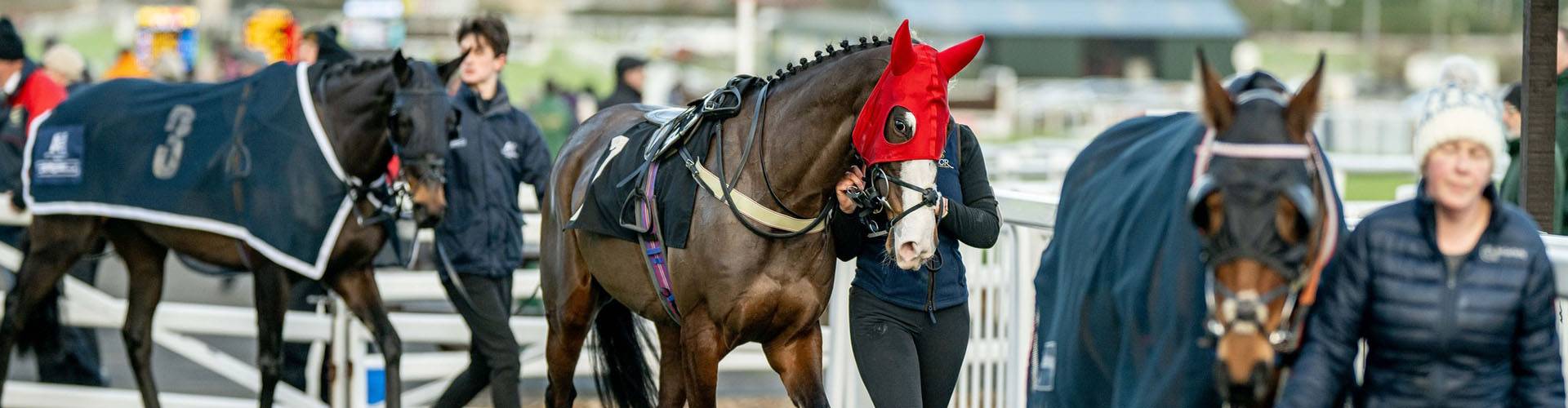 Plumpton Racecourse